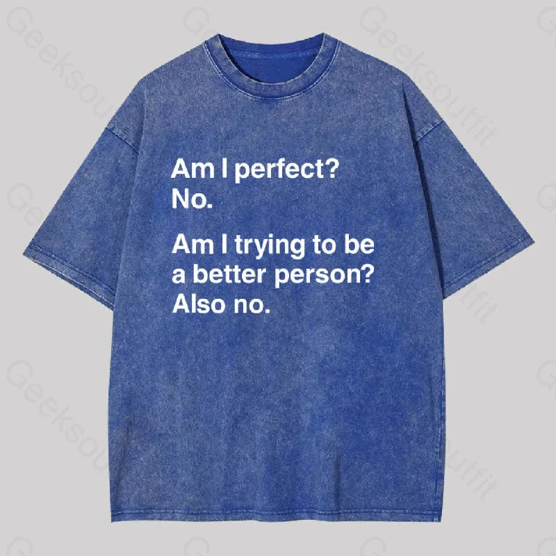 Am I Perfect No Washed T-shirt