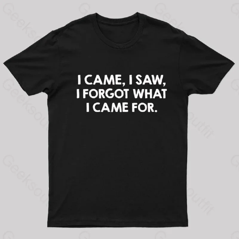 I Came and Saw Nerd T-Shirt