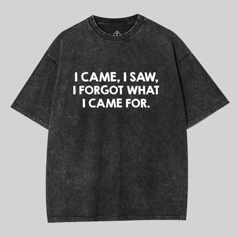 I Came and Saw Washed T-shirt