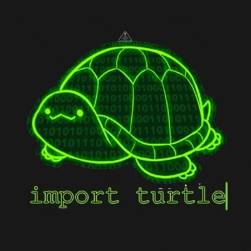 Import Turtle T-Shirt